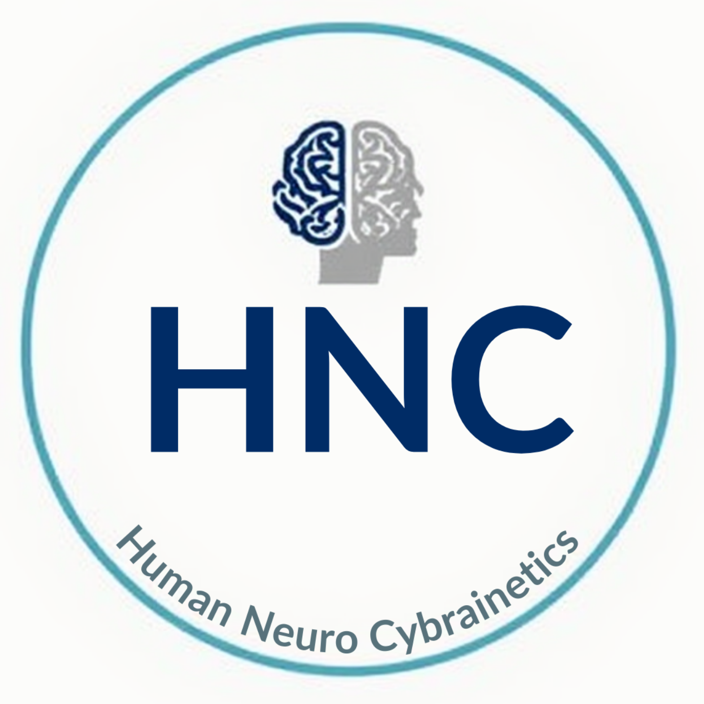 Die Perspektive des Human Neuro Cybrainetics