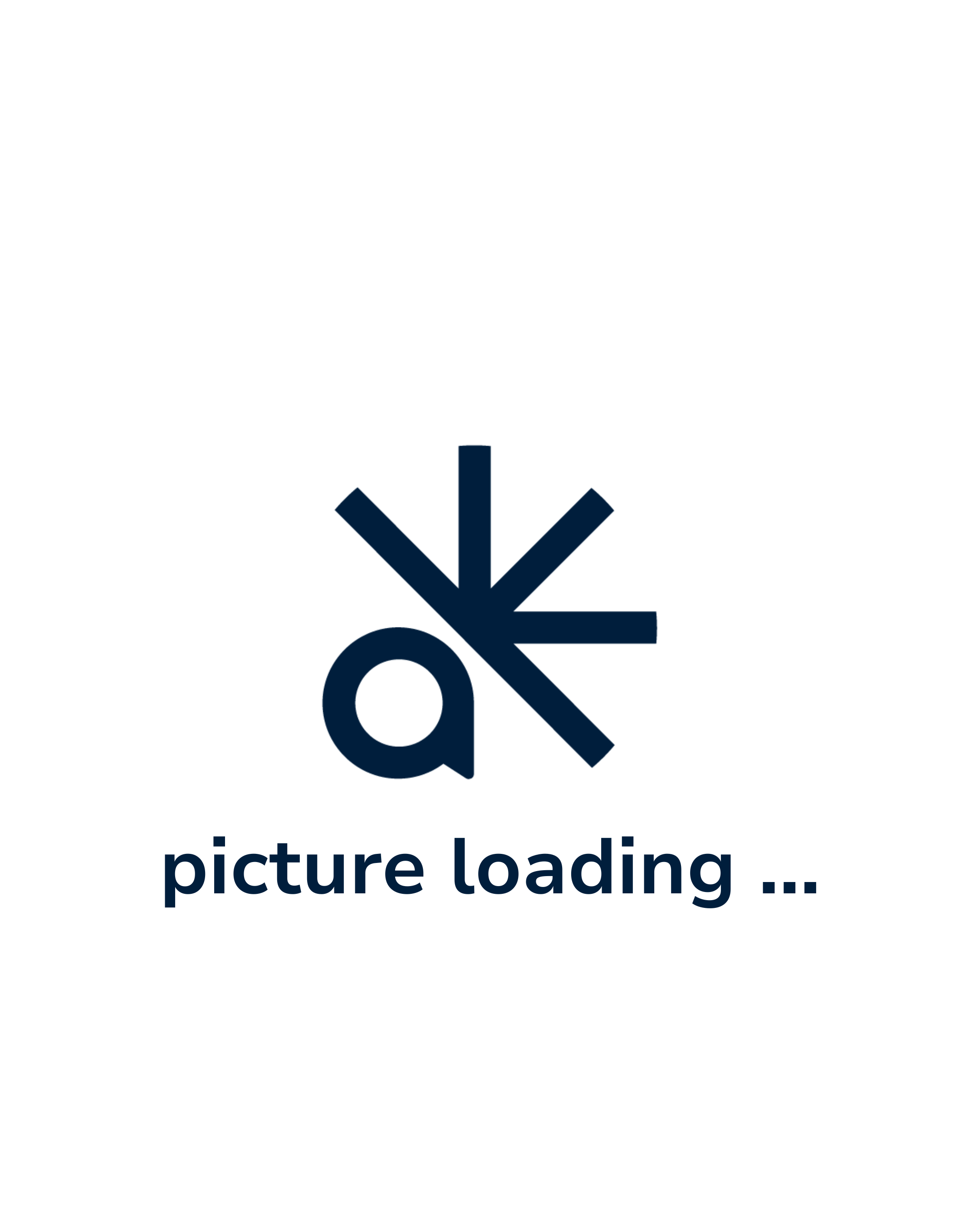 Bundesverband der Deutschen Industrie